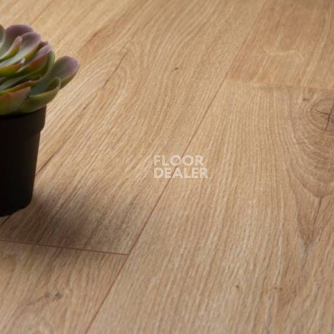 Kronopol Platinium Zodiak d4571 Дуб Virgo фото 2 | FLOORDEALER